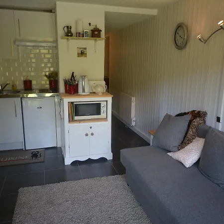 Le Grizzly - Grireg Chalet Les Gets