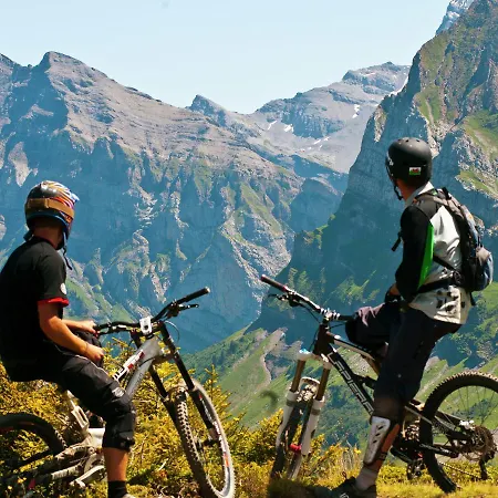 Le Grizzly - Grireg Chalet
